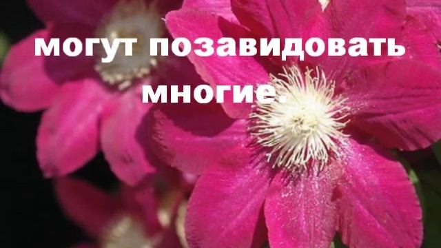 С Днём рождения, Серёжа! смотреть онлайн