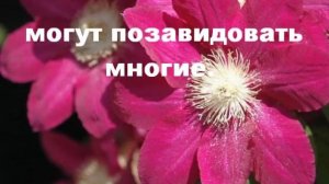 С Днём рождения, Серёжа!