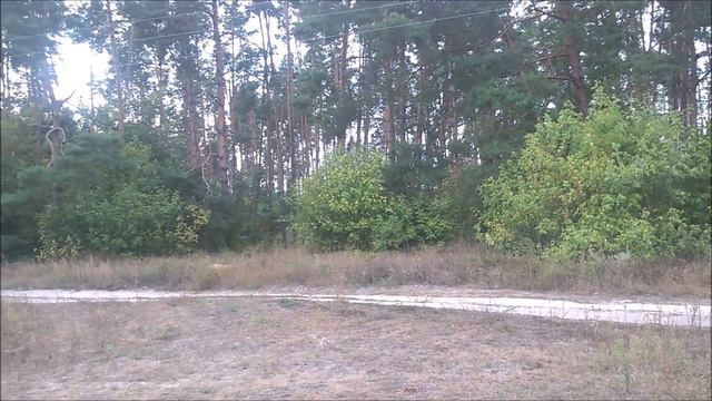 #1 ВИДЕО ОТВЕТ ПОДПИСЧИКУ смотреть онлайн
