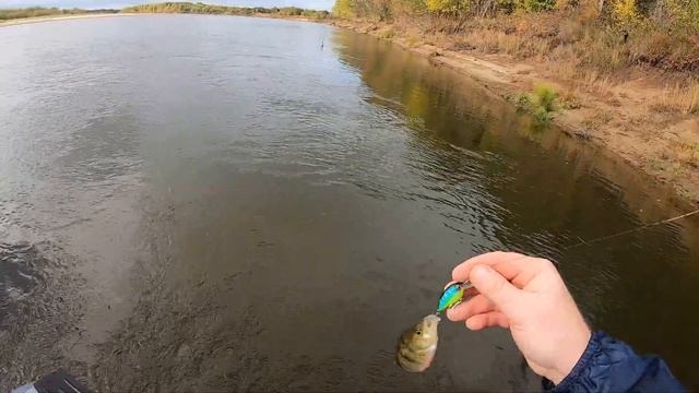 Рыбалка сплавом на Вятке. Окунь на спиннинг.