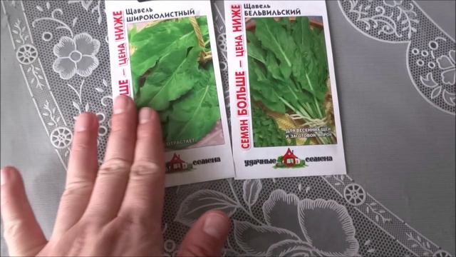 Бисквит не удался/Готовимся ко дню рождения/Распаковка продуктов /Прогулка по набережной Троицка