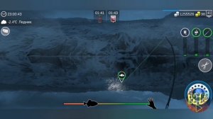 Ледяной охотник▷прохождение My fishing world▷ мой рыболовный мир▷где и на что ловить▷живец