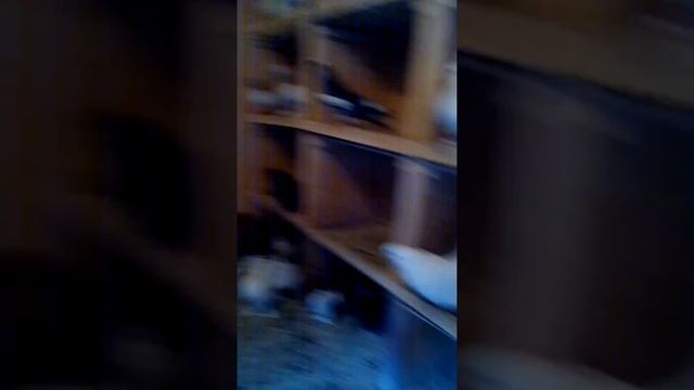 Продажа элитной птицы,тел для справок.0665309728.Валера..