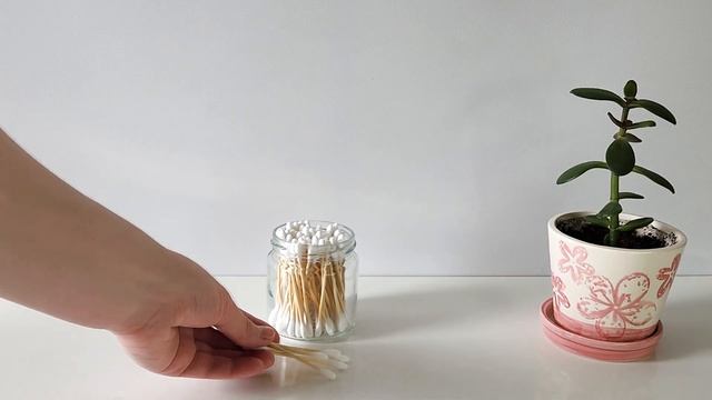 7 вещей, от которых я ОТКАЗАЛАСЬ | Бережное потребление | Жизнь без мусора | Zero Waste Ноль отходо смотреть онлайн