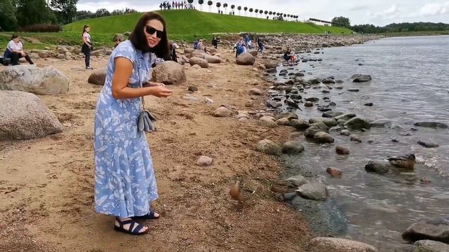Прогулка по Питергофу (16.08.2021) смотреть онлайн