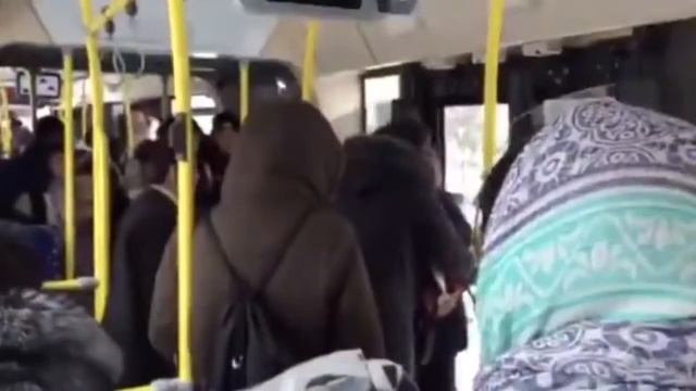 Буйный заяц выбил зуб настойчивому кондуктору автобуса смотреть онлайн