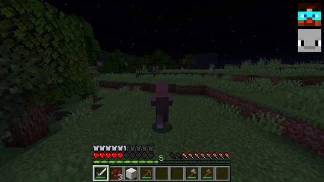 ? Мои Друзья стали РАЗБОЙНИКАМИ и Объявили охоту на ГРАДУСА Жителя в майнкрафте! смотреть онлайн