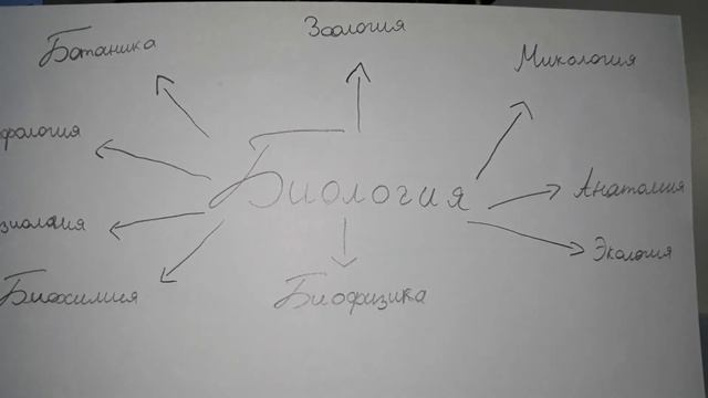 Биология|Отрасли науки,изучающие живые организмы смотреть онлайн