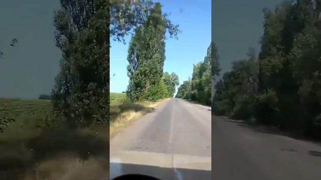Дорога Балта-Козацкое, Одесская область. смотреть онлайн