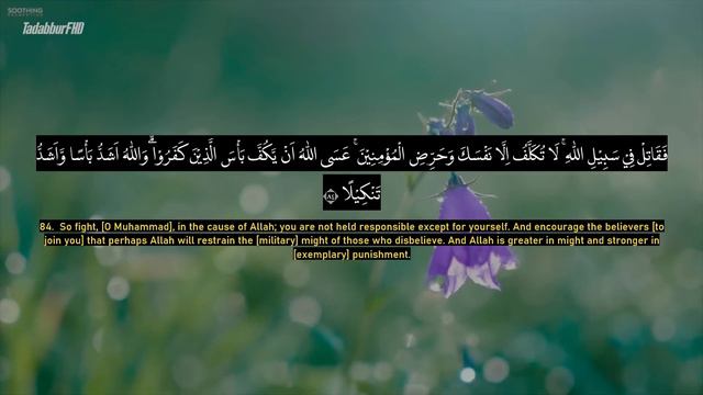 Surah An Nisa - Ahmad Al-Shalabi [ 004 ] I Beautiful Quran Recitation смотреть онлайн