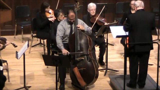 Larsson Concertino for Double Bass смотреть онлайн
