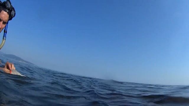 Эпизод 1. Снова на остров Суджук, но уже в 2017-м году смотреть онлайн