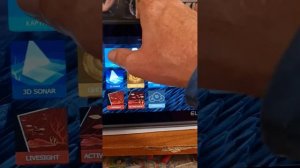 «Остановившийся».Остановилась эхограма в SideScan, DownScan и Sonar в эхолоте Lowrance!‼️Что делать