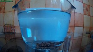 Зимняя прикормка с эфектом гейзера на деле.