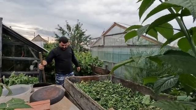 Садим клубнику и готовлю простой обед. смотреть онлайн