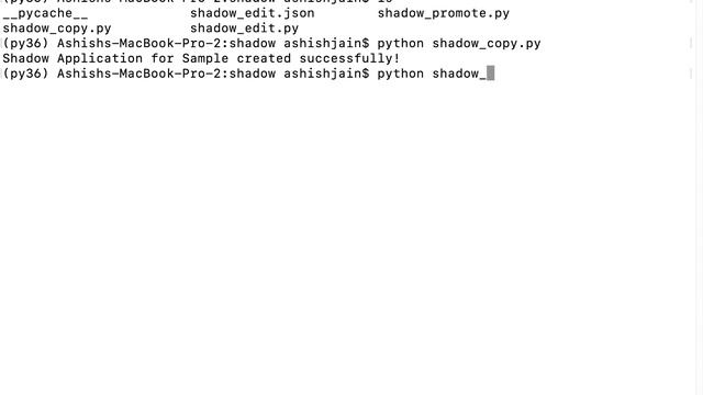 Essbase 21c – Shadow Cubes Feature смотреть онлайн