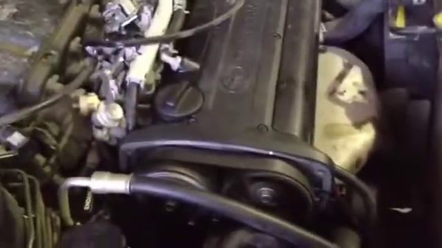 Замена муфты VVTi без съёма ремня ГРМ на 4age