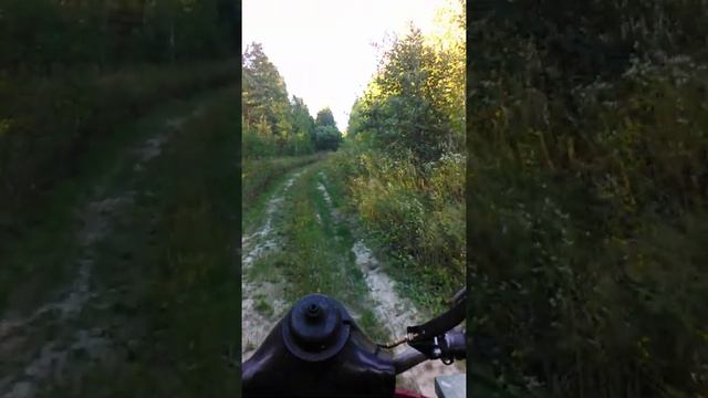 ДИЗЕЛЬ МУРАВЕЙ ПО ЗАБРОШЕННОМУ с.ДОВЖИК смотреть онлайн