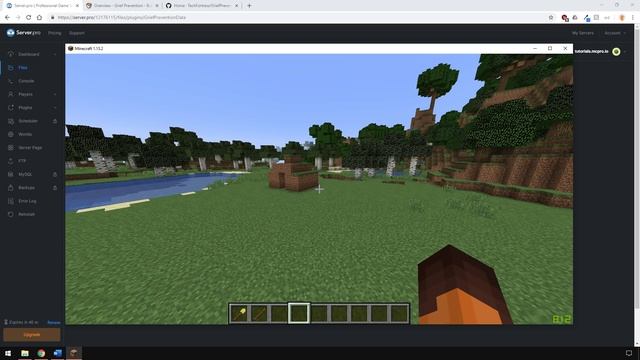How to Prevent Griefing on Your Server (Grief Prevention) - Minecraft Java смотреть онлайн