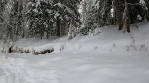 Рыбалка в лютые морозы 2024года! Зимняя рыбалка на реке Ендырь! Ловля щуки на жерлицы!