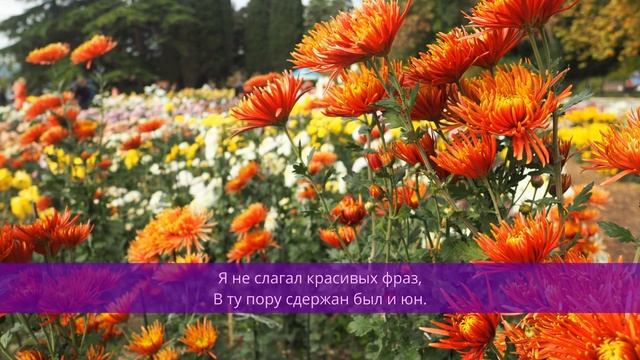 У людей судьба цветов смотреть онлайн