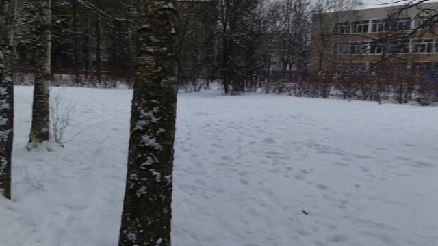 Основная камера Samsung Galaxy Note 20 Ultra Full HD 120 FPS + STAB смотреть онлайн