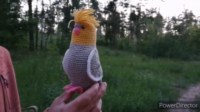 #попугай корелл.#Corella's parrot смотреть онлайн