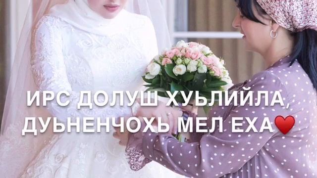 Дала декъал сан ХЬОМЕ ЙИША❤️ смотреть онлайн