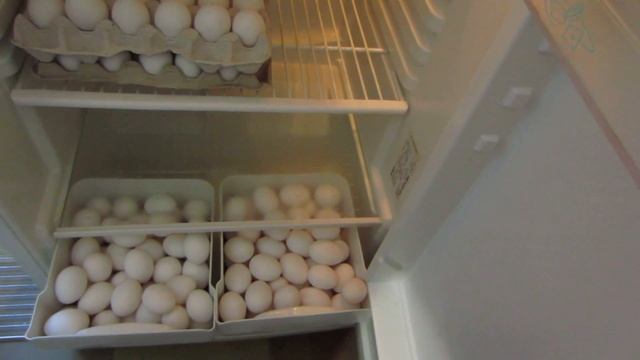 Хранение яиц длительное время. Холодильник для яиц. смотреть онлайн
