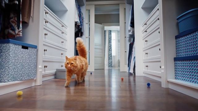 Наполнитель Fresh Step - чистая любовь 3 / 15 сек смотреть онлайн