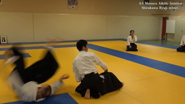 Aikido - Shirakawa Ryuji sensei Seminar in Monaco2016 (Highlight) 白川竜次先生 смотреть онлайн