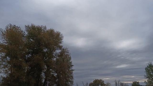 8 ноября народный праздник ДМИТРИЕВ ДЕНЬ. ЧТО НЕЛЬЗЯ ДЕЛАТЬ. народные приметы и поверья смотреть онлайн