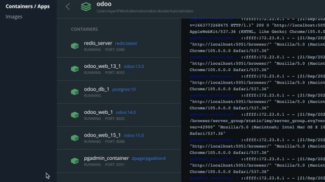 How to Access Database of Odoo Using pgAdmin 4 ~ Akses Database Odoo ERP dengan pgAdmin di Docker смотреть онлайн