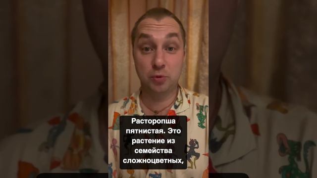 Топ-5 продуктов, которые стимулируют желчевыведение ￼! смотреть онлайн