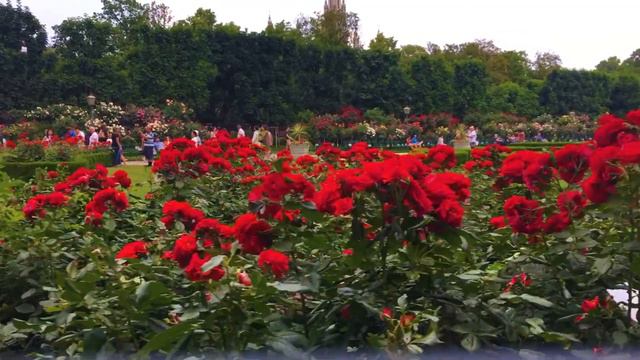 Rosengarten Park - Vienna 2018 смотреть онлайн