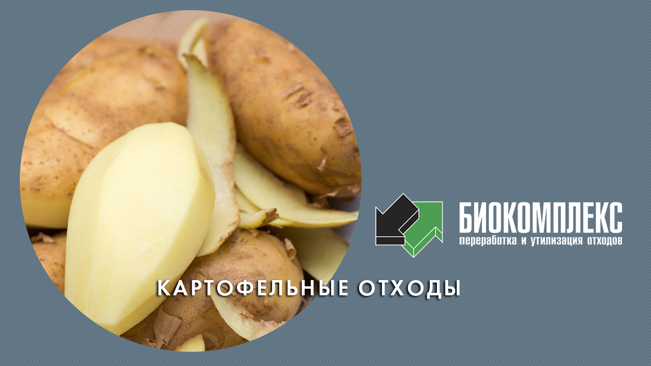 Картофельные отходы смотреть онлайн