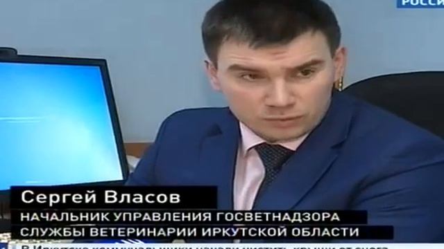 На России начали выращивать съедобных собак