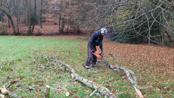 372xp with a Silly Pipe! Is it practical? Alex the Arborist is back! Husqvarna Chainsaw fun.