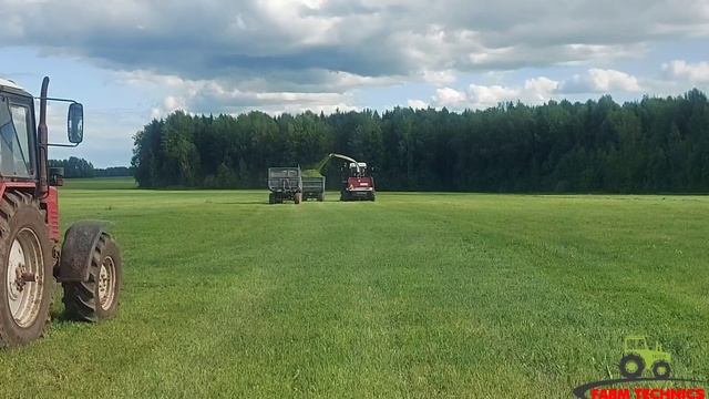 Начало заготовки силоса и сенажа 2021 смотреть онлайн