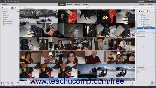 Learn How to Assign and Manage Tags and Ratings in Adobe Photoshop Elements 2022 A Training Tutoria смотреть онлайн