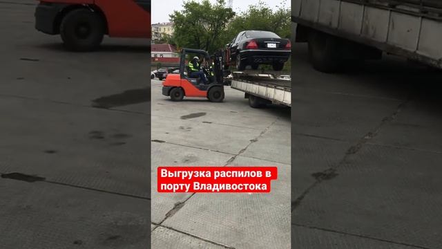 Распилы из Японии на запчасти #японскоеавто #автоизяпонии #автоподзаказ #автоподзаказ #распил смотреть онлайн