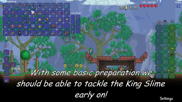 Terraria 1.3 Expert Rogue Mini-Series Part 1: Things to Throw! (1.3 throwing playthrough) смотреть онлайн