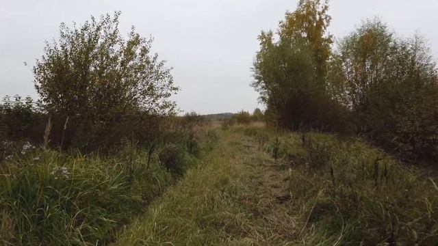 Поиск истока реки Лопенка у Щербинки. Деревня Новокурьяново. смотреть онлайн