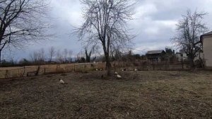 Продается дом, 2 км от моря в с. Варча, Абхазия. Колодец. Сад. Земля 0.15 га
