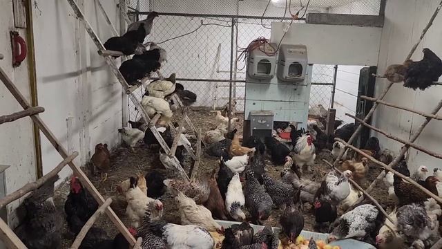 НАКОНЕЦ-ТО СДЕЛАЛА