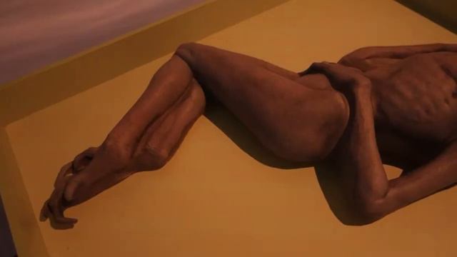 Выставка трансформеров // Ростов-на-Дону смотреть онлайн