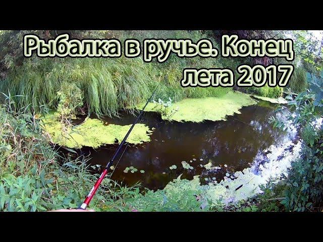 Рыбалка на спиннинг в ручье. Конец лета 2017