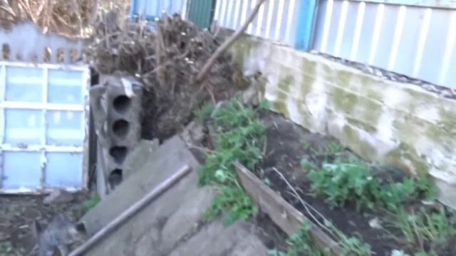 Зимние ёжики, болталки от Коли, мастер класс, как укоротить москитную сетку, Шаповаловы смотреть онлайн