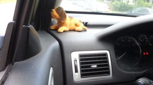 Не заводится с утра, peugeot 307, 20.06.2013