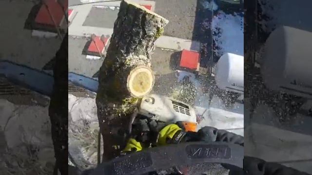 Спил скелетных веток нависающих над газовой заправкой. смотреть онлайн